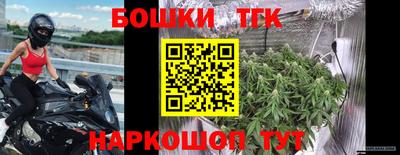 бошки Новодвинск