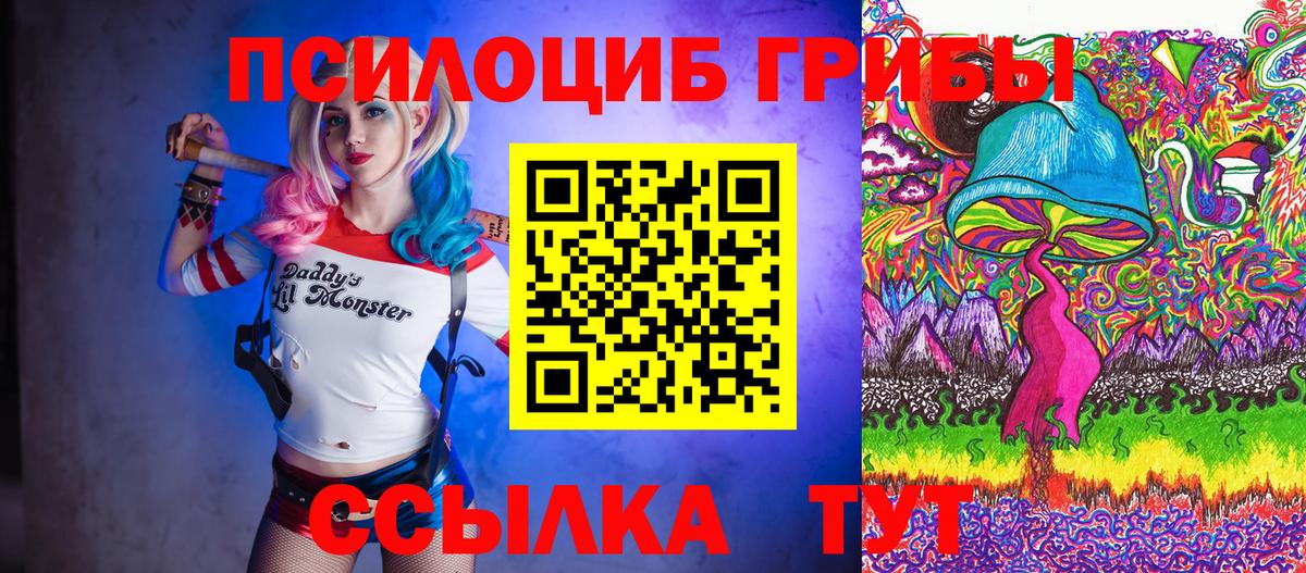 Галлюциногенные грибы Cubensis  Псилоцибиновые грибы Magic Shrooms  Таганрог  Вход с VPN 